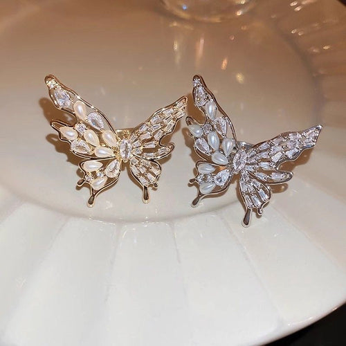 Papillon Lumière