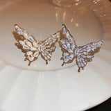 Papillon Lumière